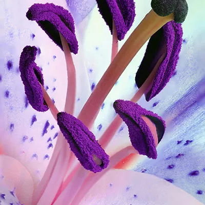 10月22日免费节点分享|21.4M/S，Clash节点/V2ray节点/SSR节点/Singbox节点|免费上网梯子每天更新